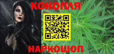 гидра Волгодонск
