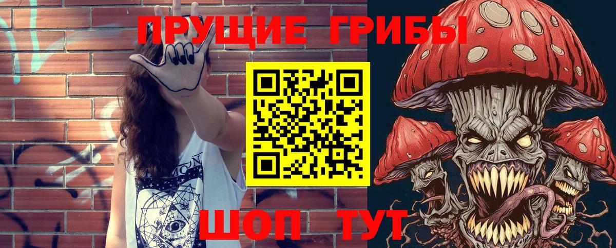 Богданович  купить  сайты  Вход с VPN  Псилоцибиновые грибы MAGIC MUSHROOMS  Псилоцибиновые грибы мицелий 