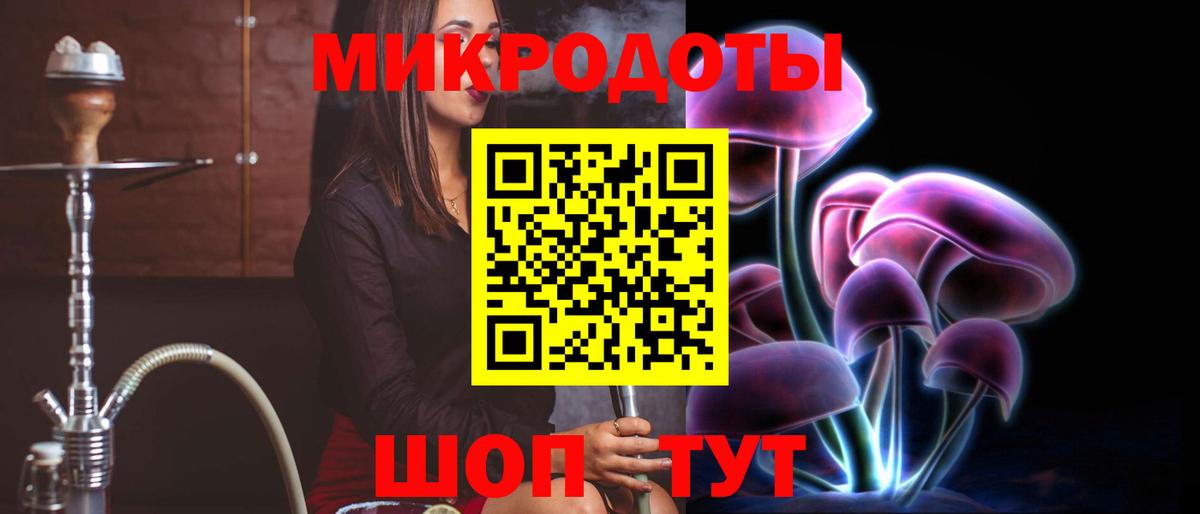 Псилоцибиновые грибы Psilocybine cubensis Богданович