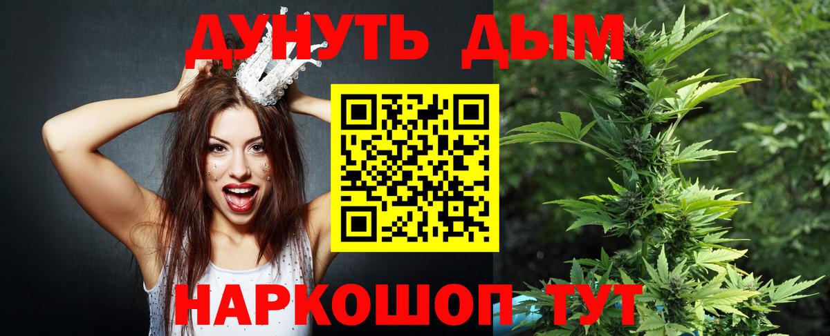 Конопля сатива Богданович
